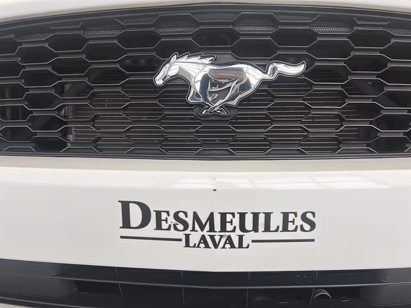 2017 Ford Mustang V6