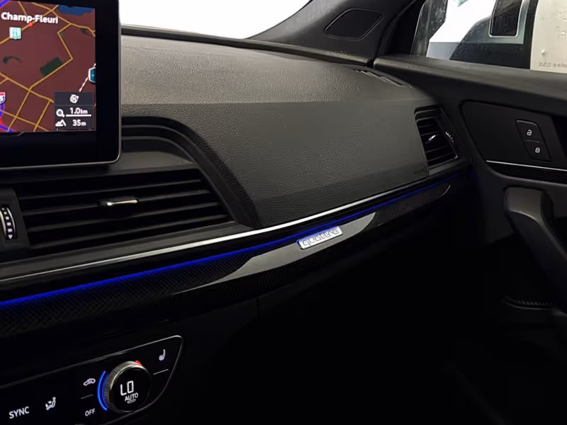 2019 Audi SQ5 Technik