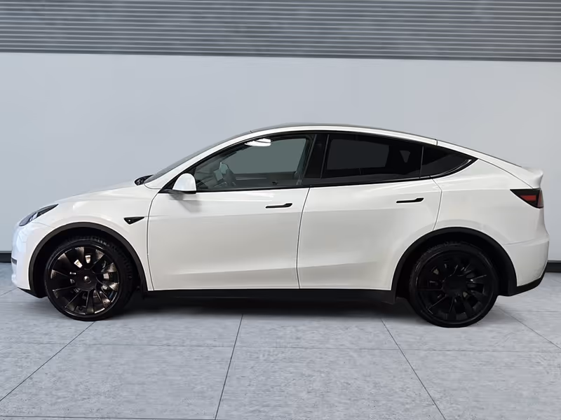 2023 Tesla Model Y RWD