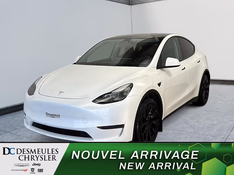 2023 Tesla Model Y RWD