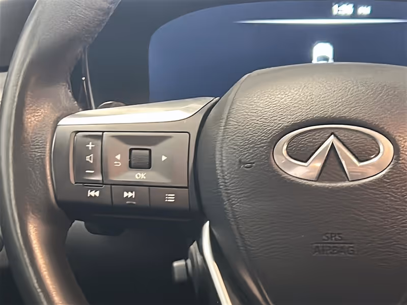 2025 INFINITI QX60 LUXE