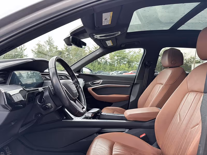 2019 Audi e-tron Progressiv