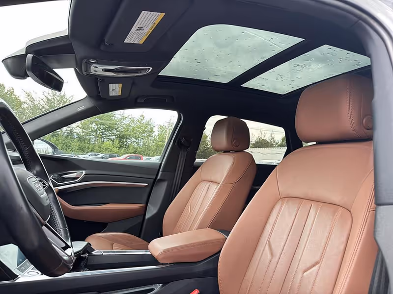2019 Audi e-tron Progressiv