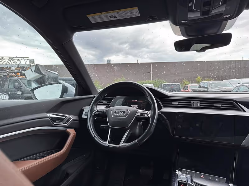 2019 Audi e-tron Progressiv