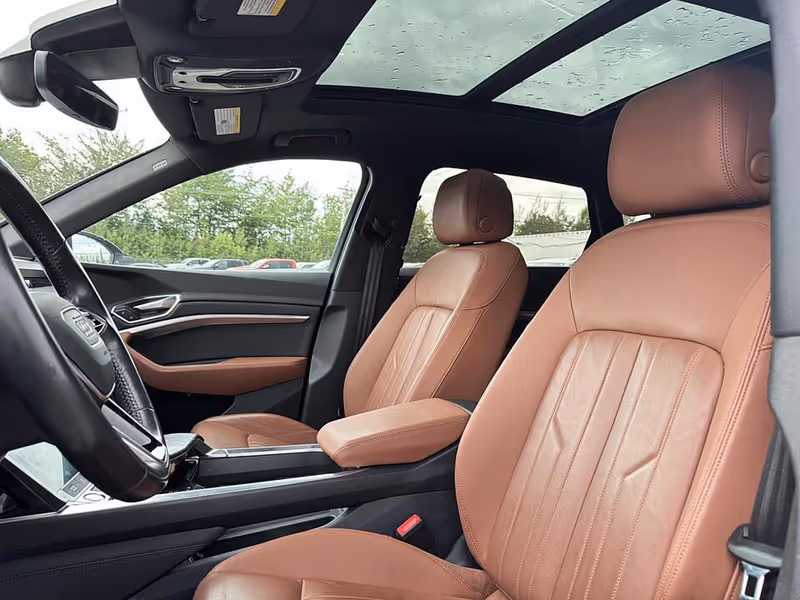 2019 Audi e-tron Progressiv