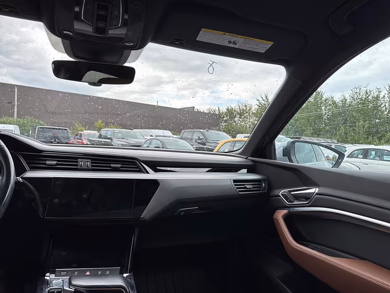 2019 Audi e-tron Progressiv