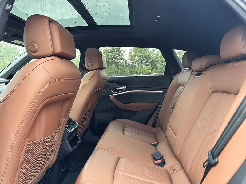 2019 Audi e-tron Progressiv